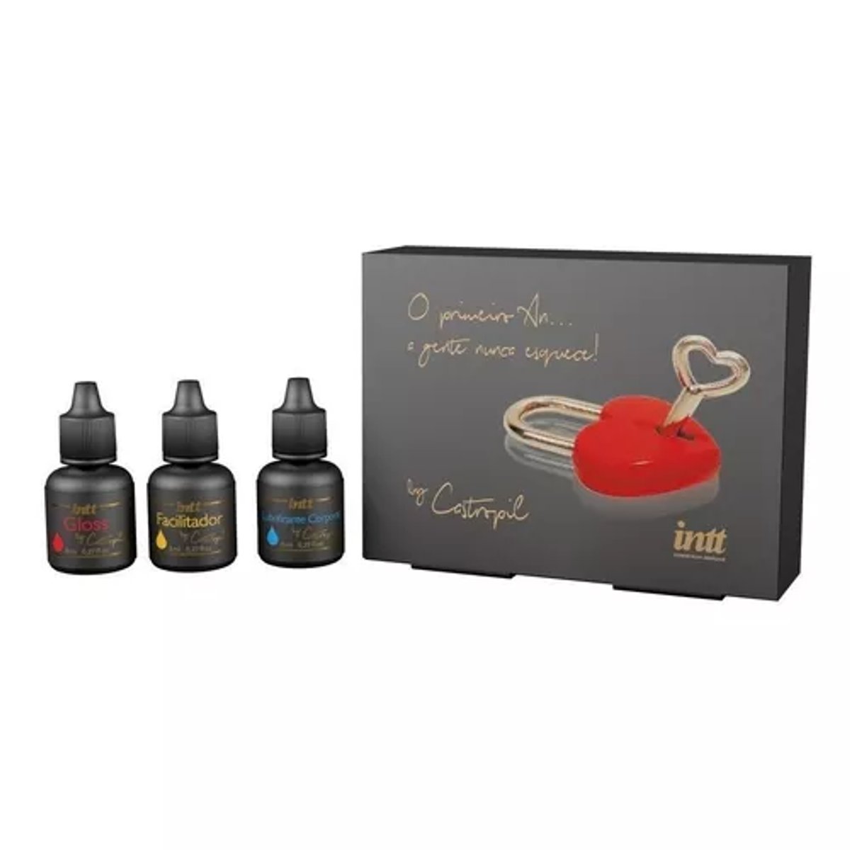 Intt Kit Primer Anal