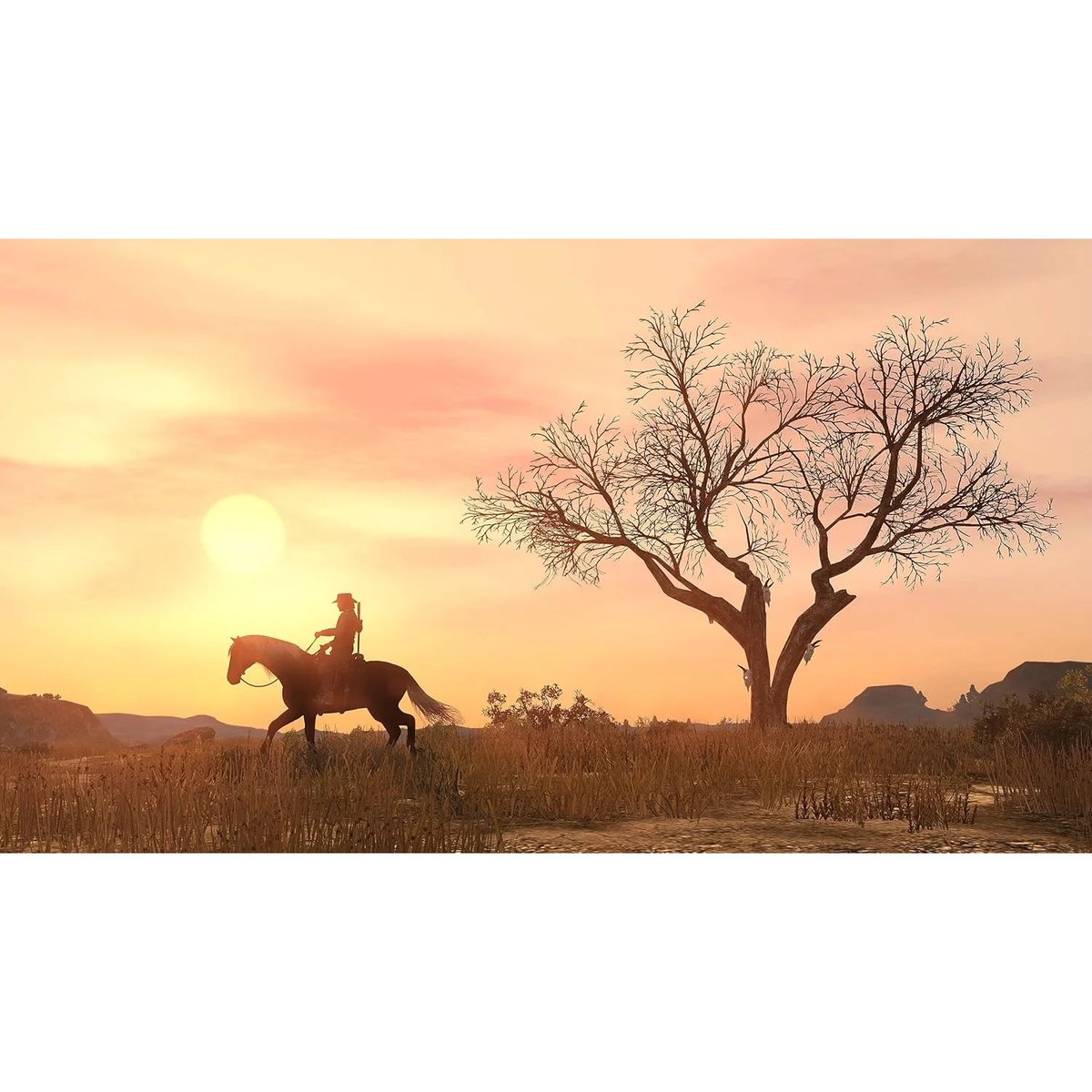 Juego Red Dead Redemption para PS4 - 3