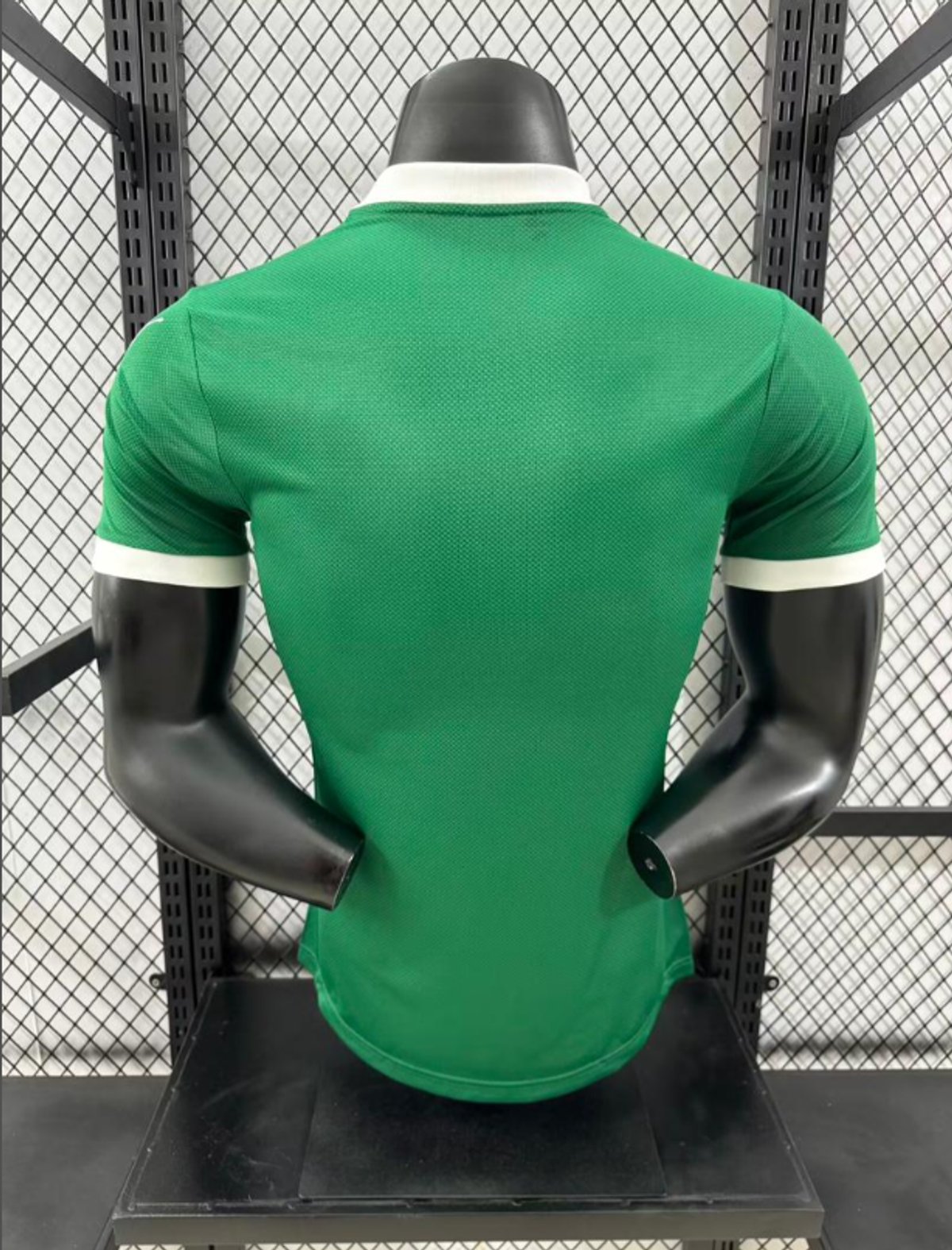 Palmeiras 2025 Home - 3