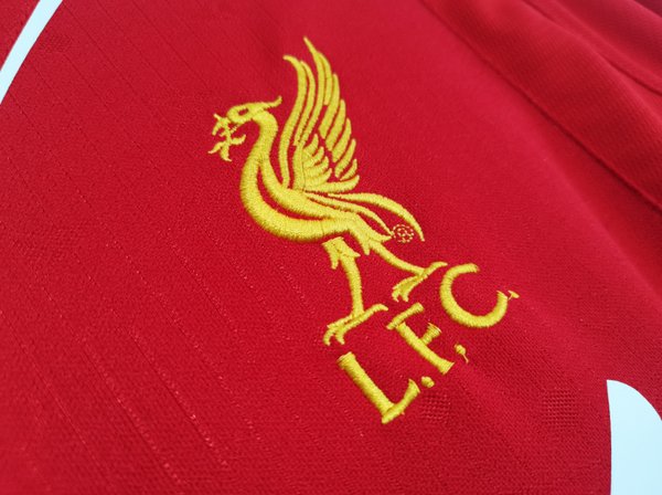 Liverpool 2014/15 Home