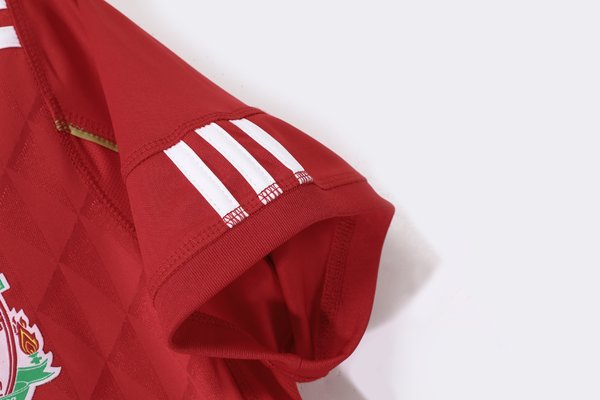 Liverpool 2010/11 Home