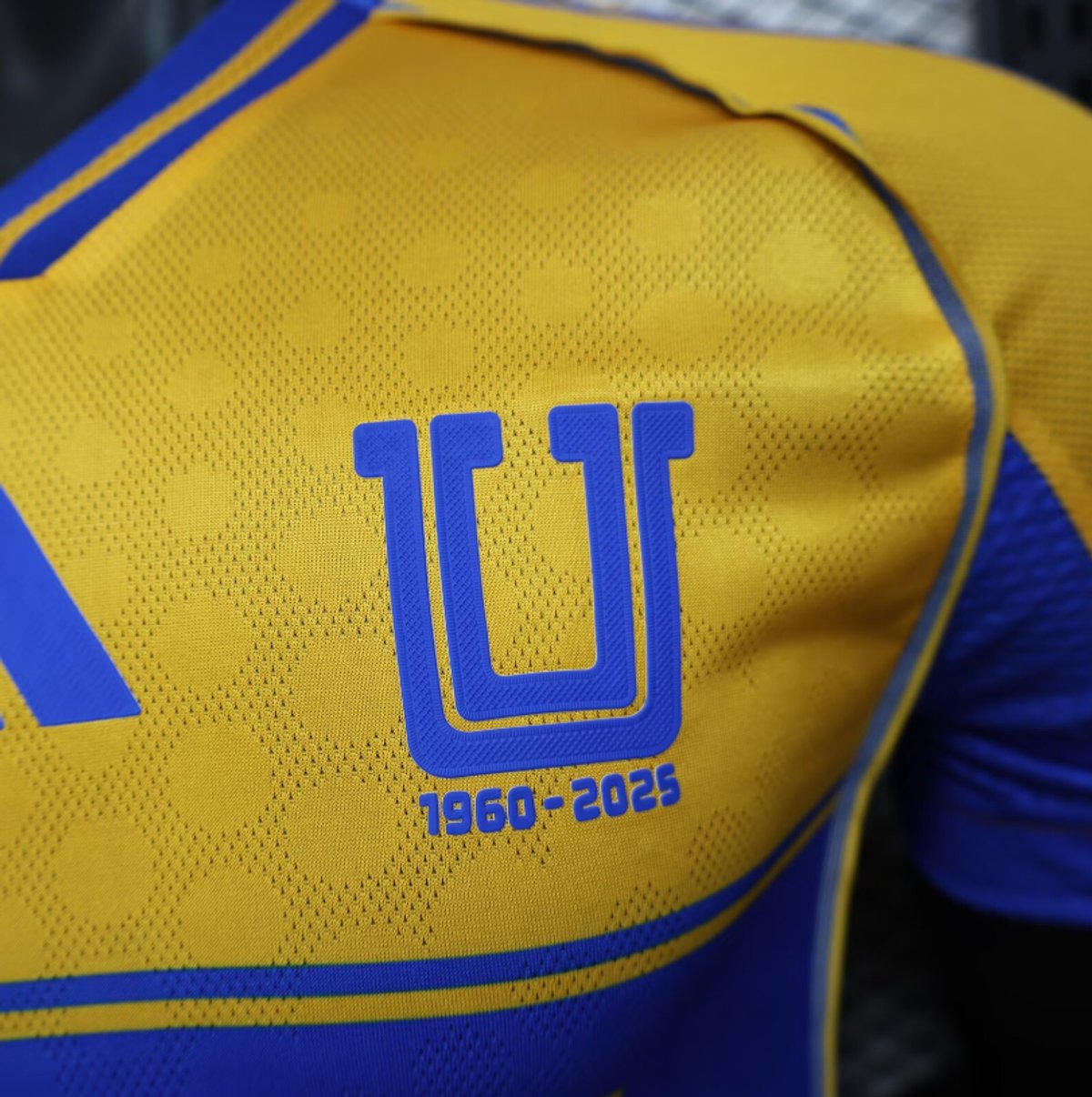 Tigres 2025/26 Home - 6