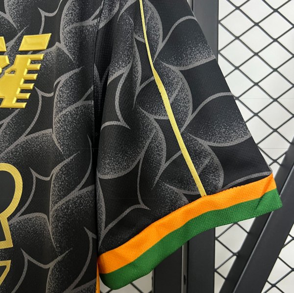 Venezia 2024/2025 Home