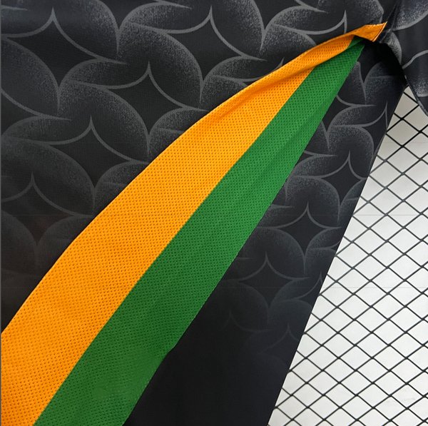 Venezia 2024/2025 Home