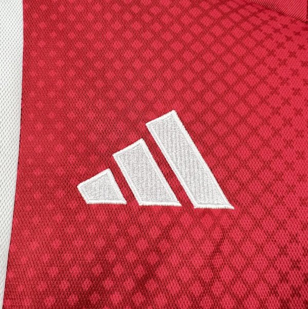 Ajax 2025/2026 Home