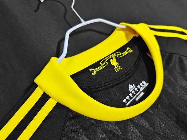 Liverpool 2010/2011 third