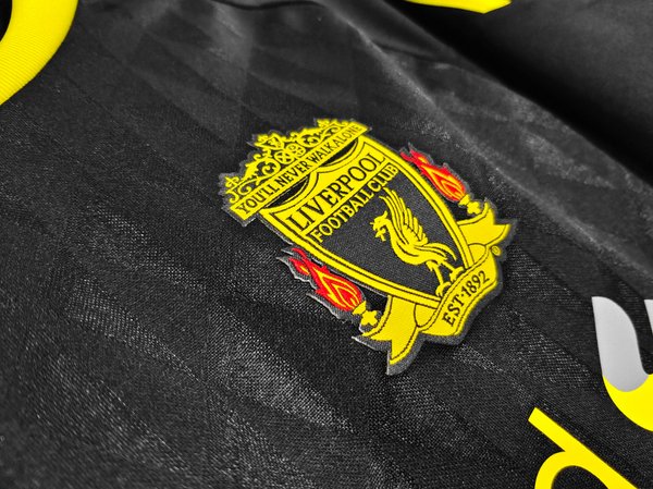 Liverpool 2010/2011 third