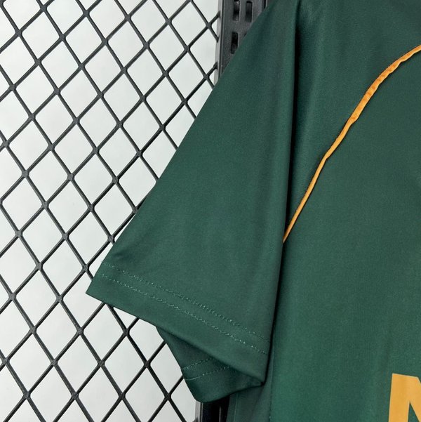 Werder Bremen 2025/2026 Home