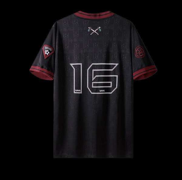 Iron Maiden 2016/2017 