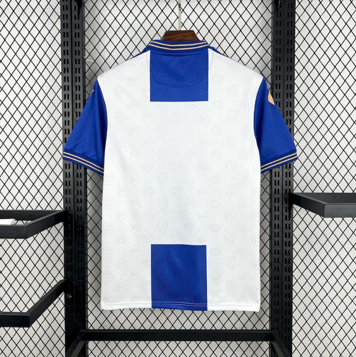 Arminia Bielefeld 2024/2025 125 Aniversario - 5