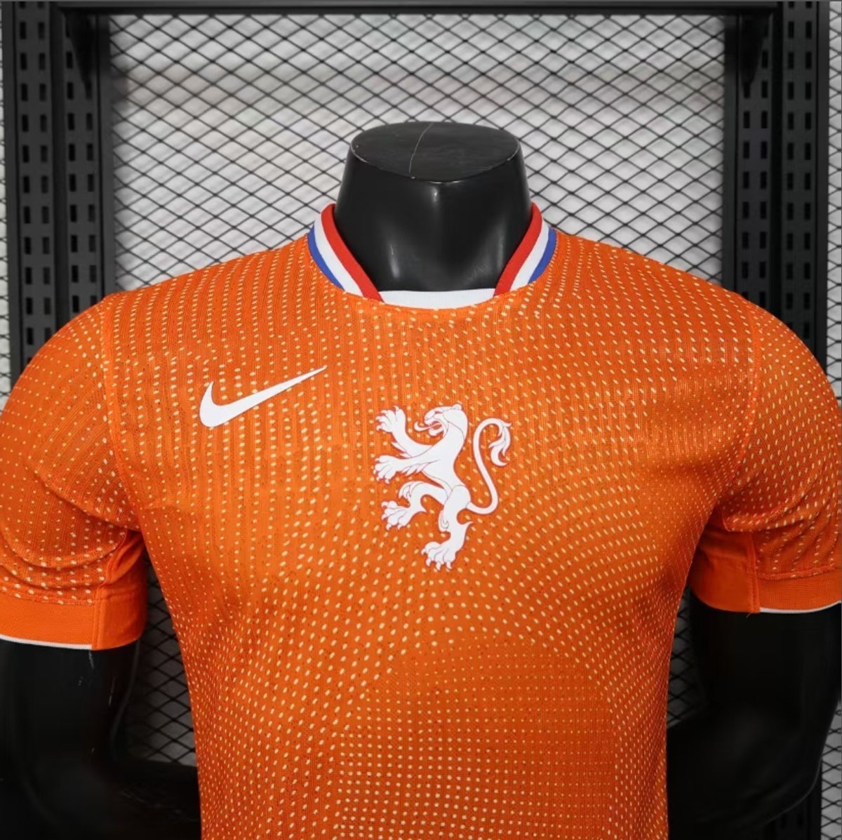 Paises Bajos 2025 Home - 6