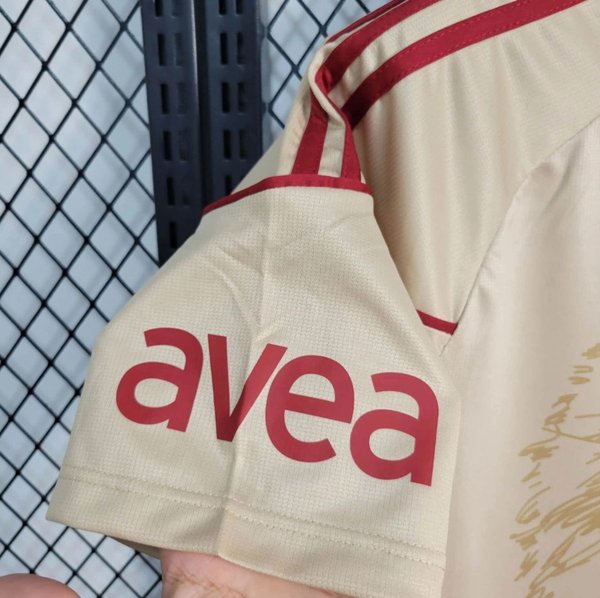 Galatasaray 2010/2011 Away