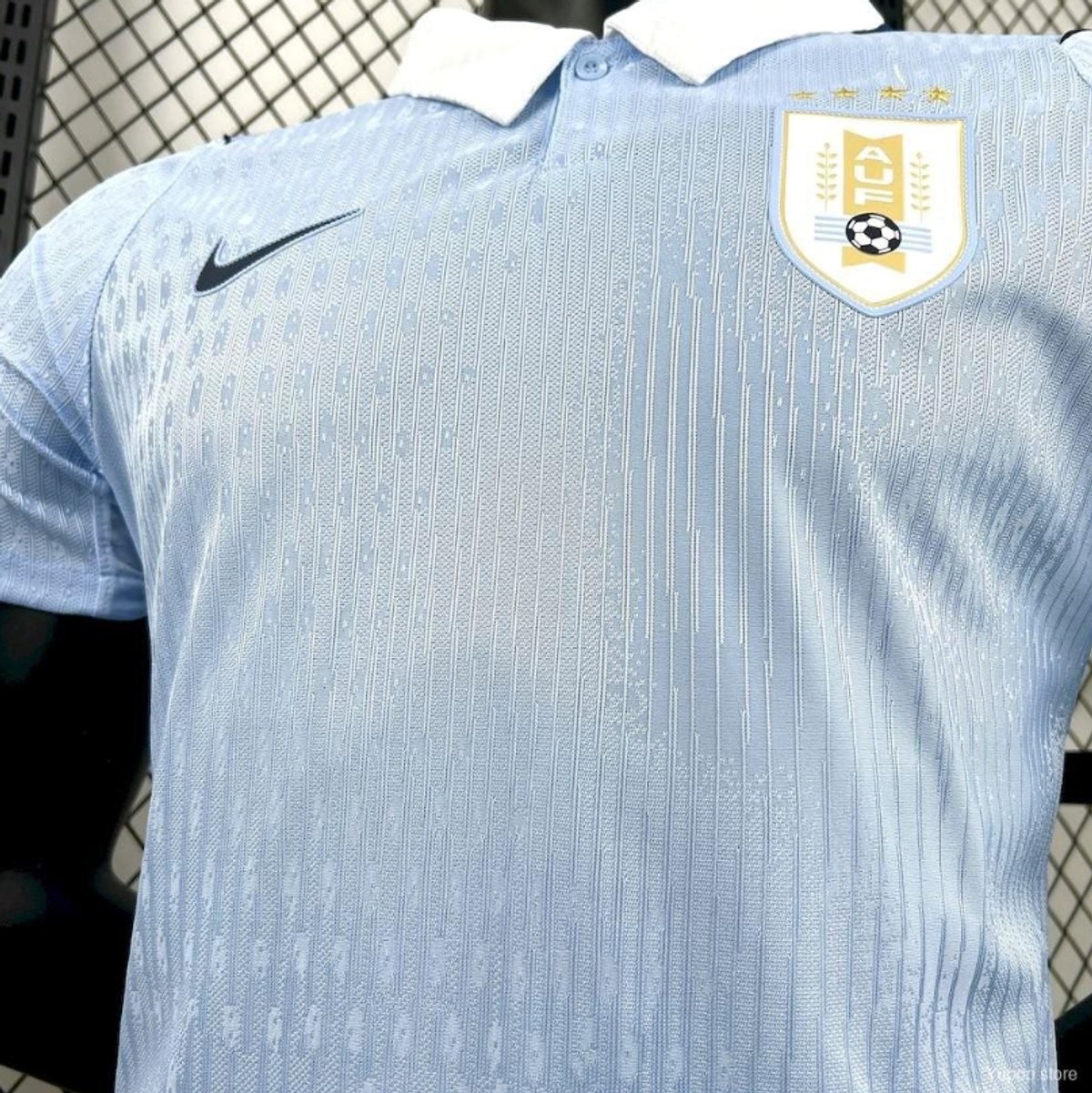 Uruguay 2026 Home - 6