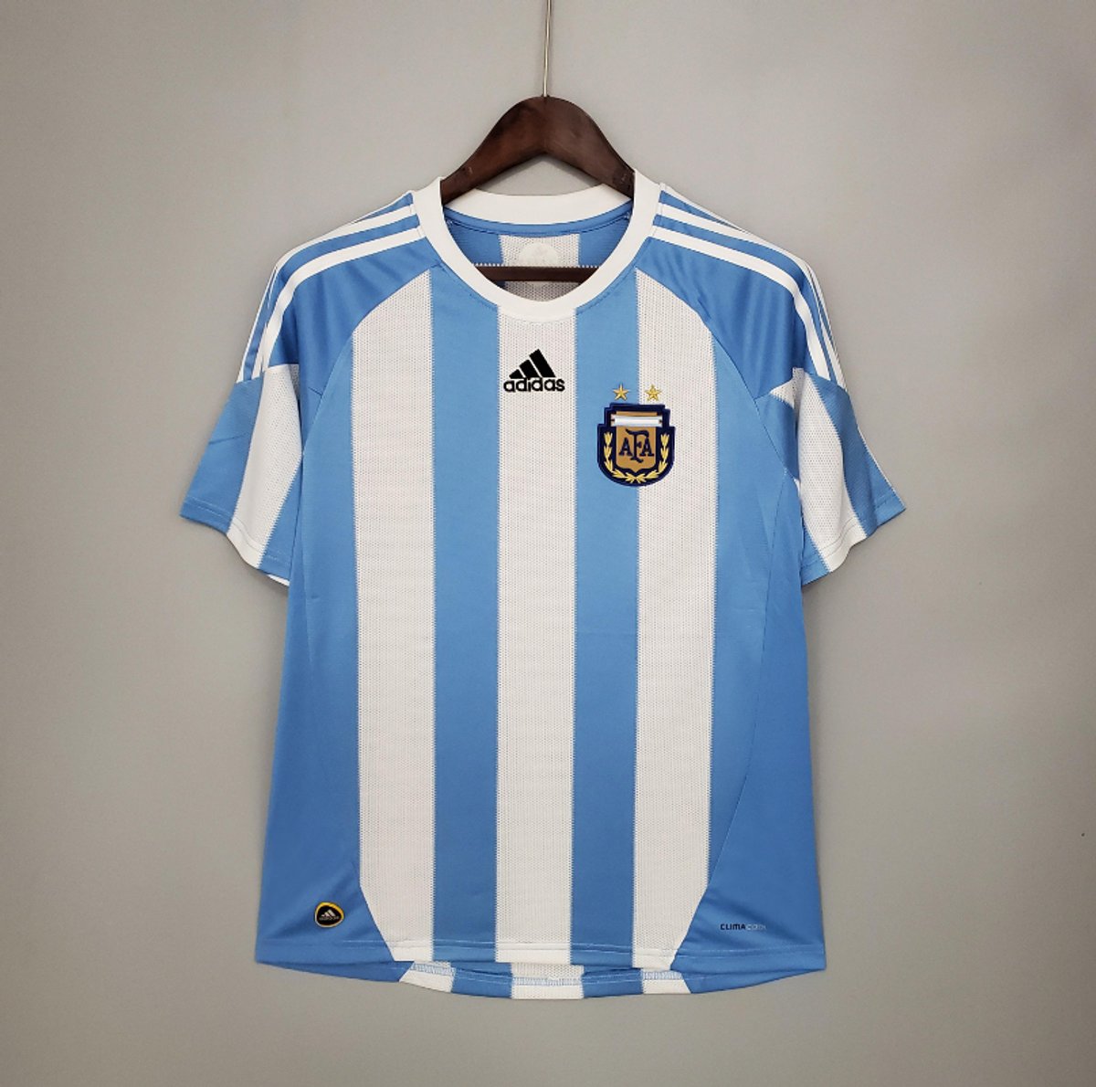 Argentina 2010 Home