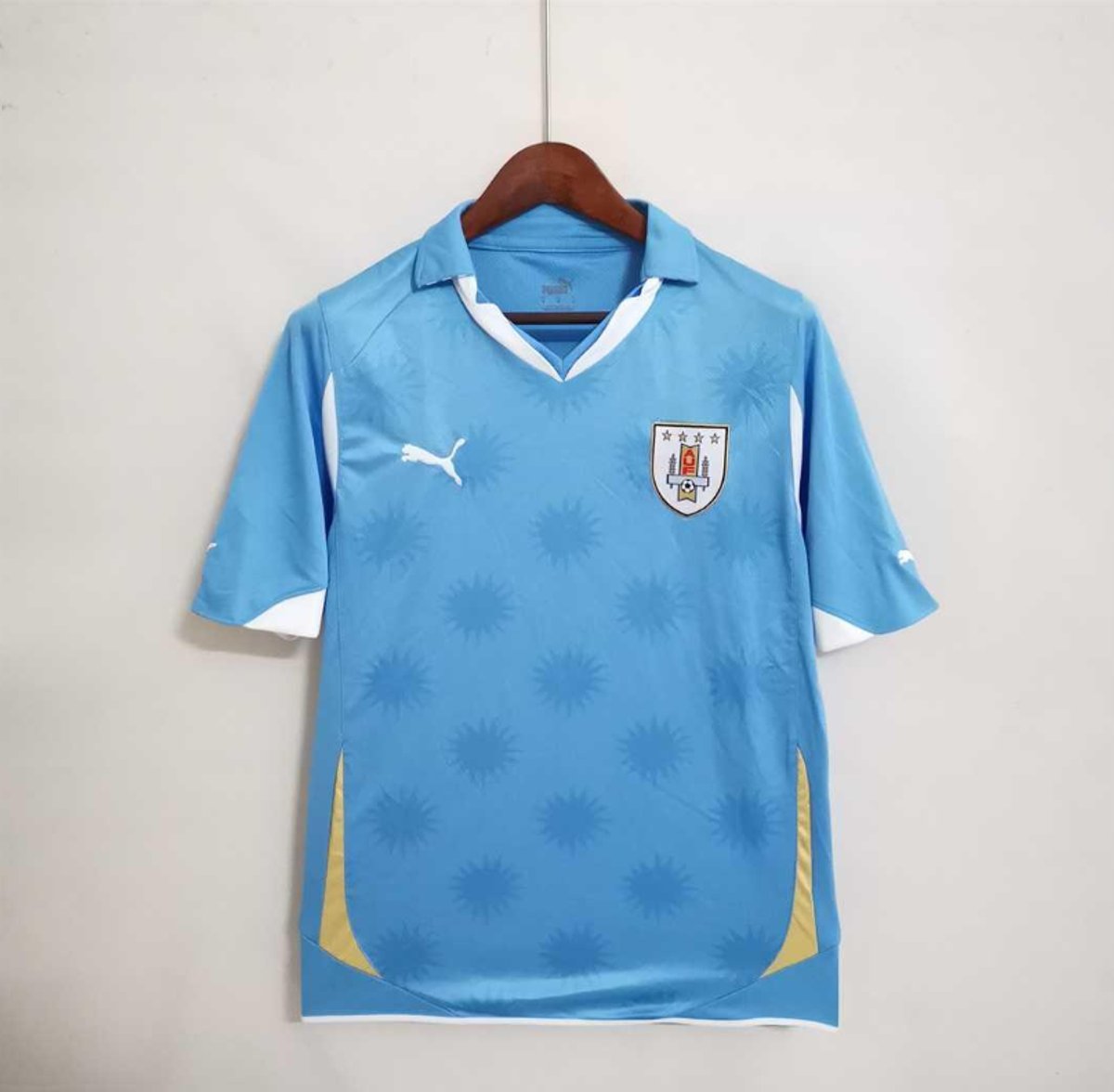 Uruguay 2010 Home