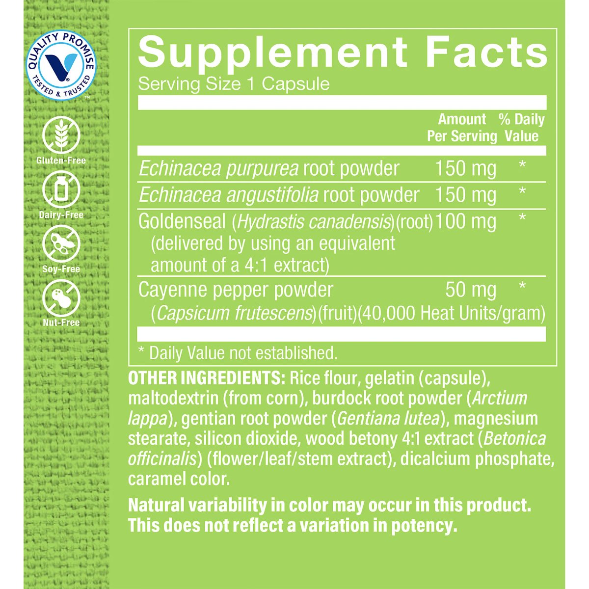 Echinacea Goldenseal Complex (100 Capsulas) the Vitamin Shoppe