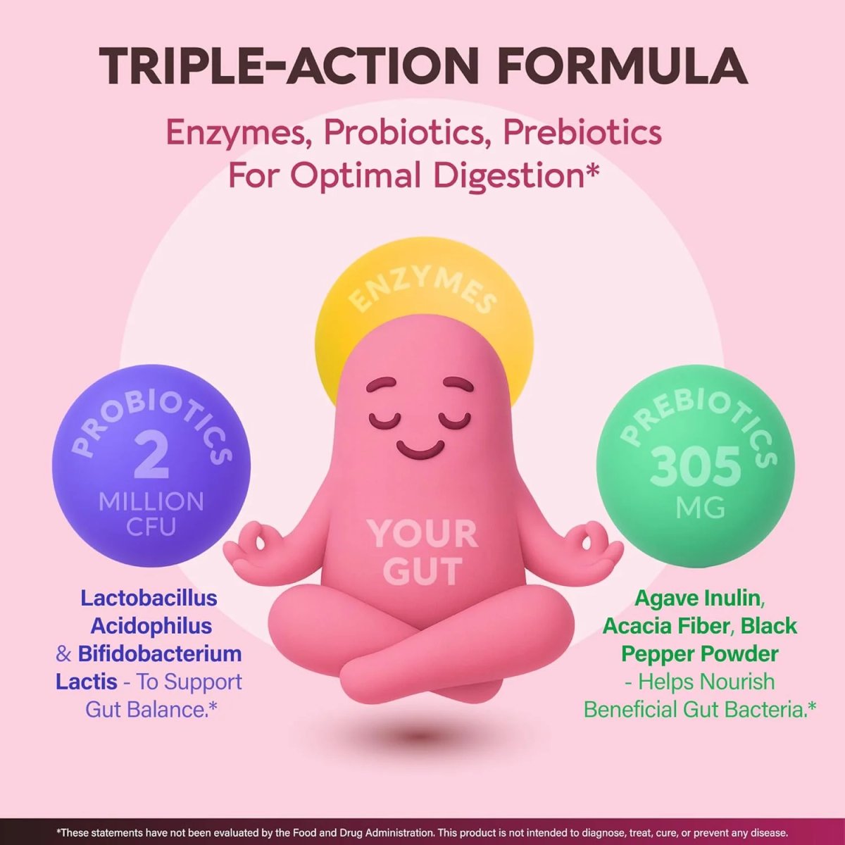 ENZIMAS DIGESTIVAS PRE & PROBIOTICS 750MG X 90 CAPS - NUTRA HARMONY - 2