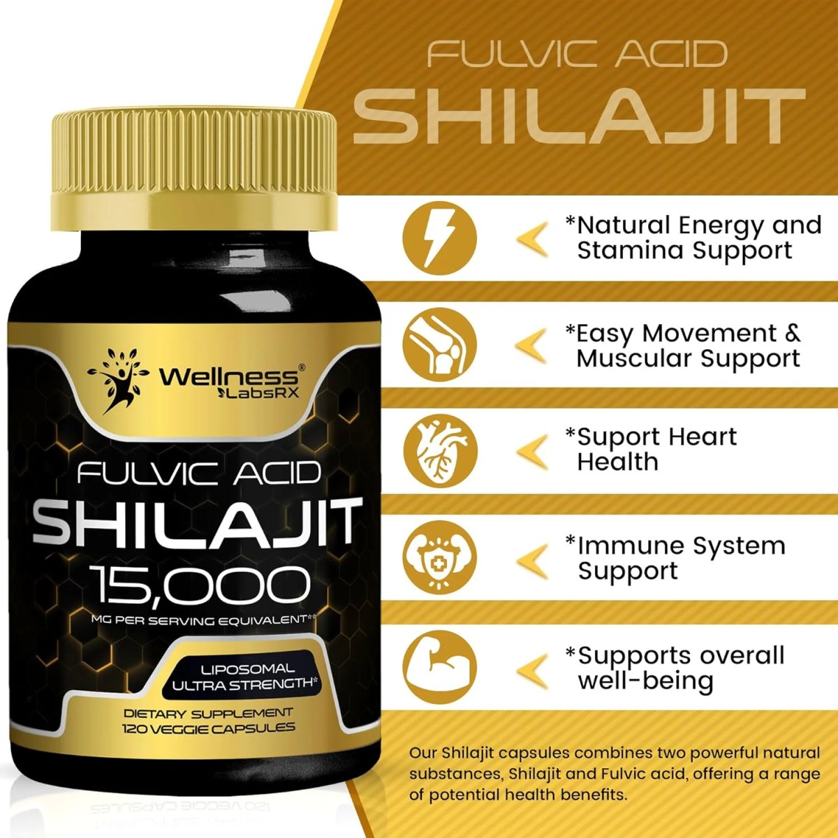 SHILAJIT LIPOSOMAL + Fulvic Acid 15,000 mg - Wellness Labs RX - 2