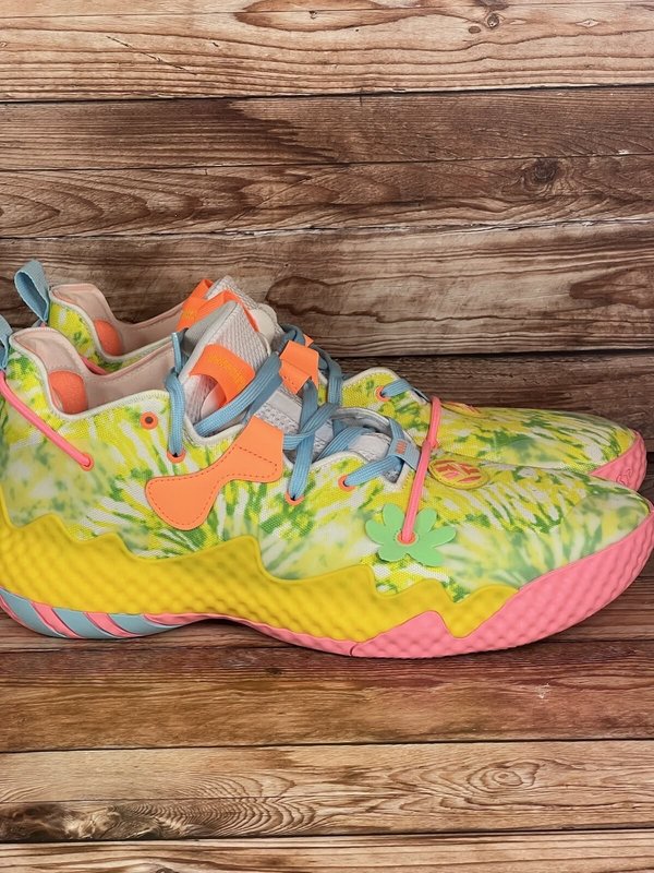 ADIDAS HARDEN VOL. 6 – MULTICOLOR (calce 7.5/8/10.5us)