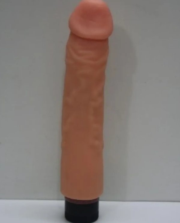 VIBRADOR/FUNDA 22X4.5CM