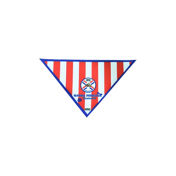 Pañoleta mediano Selección Animals