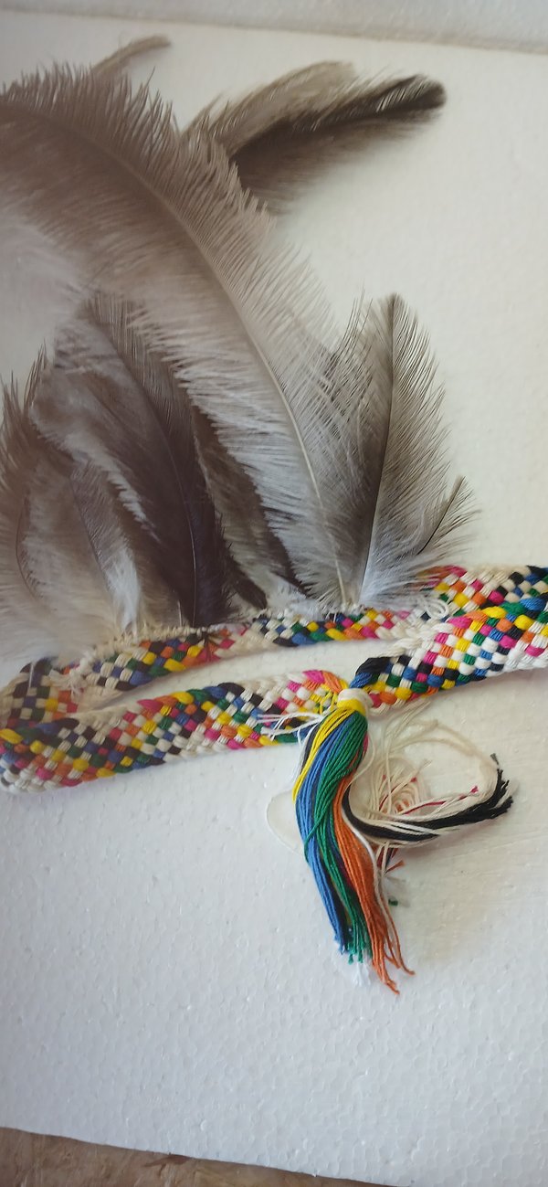 Plumas tipo accesorio p/ cabeza ( artesanía nativa)
