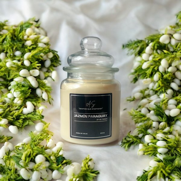 Jazmín Paraguay 