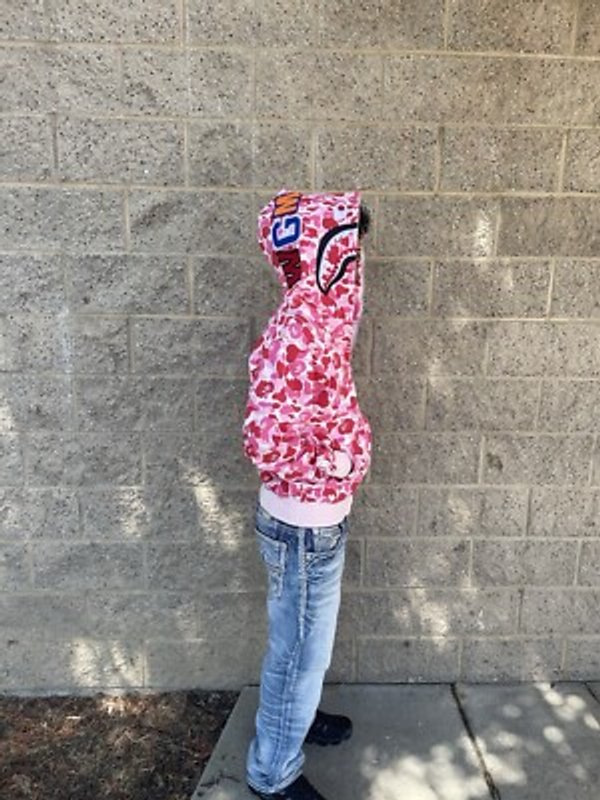 Bape shark hoodie