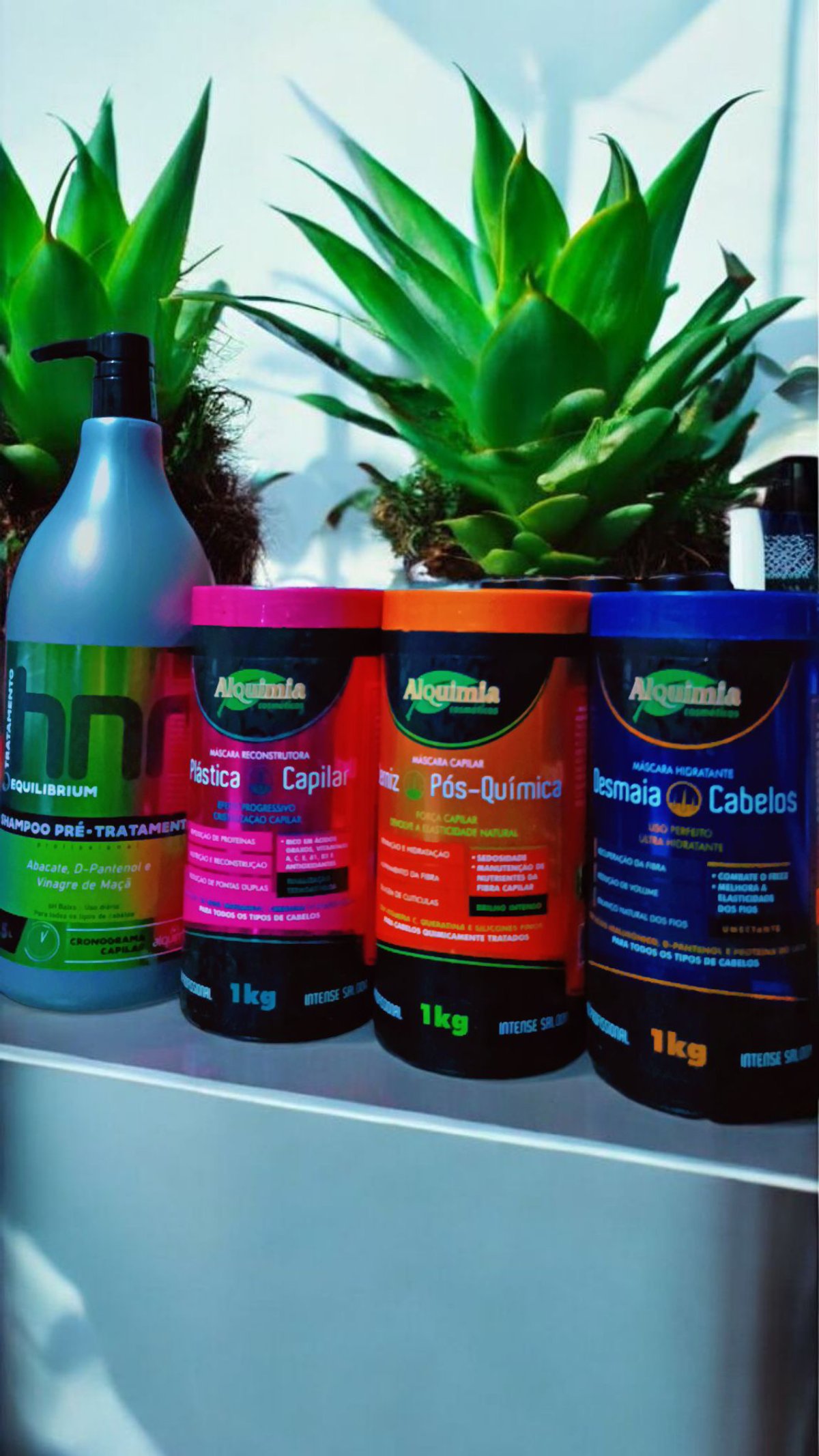 ✅Cronograma Profesional ✨🎁