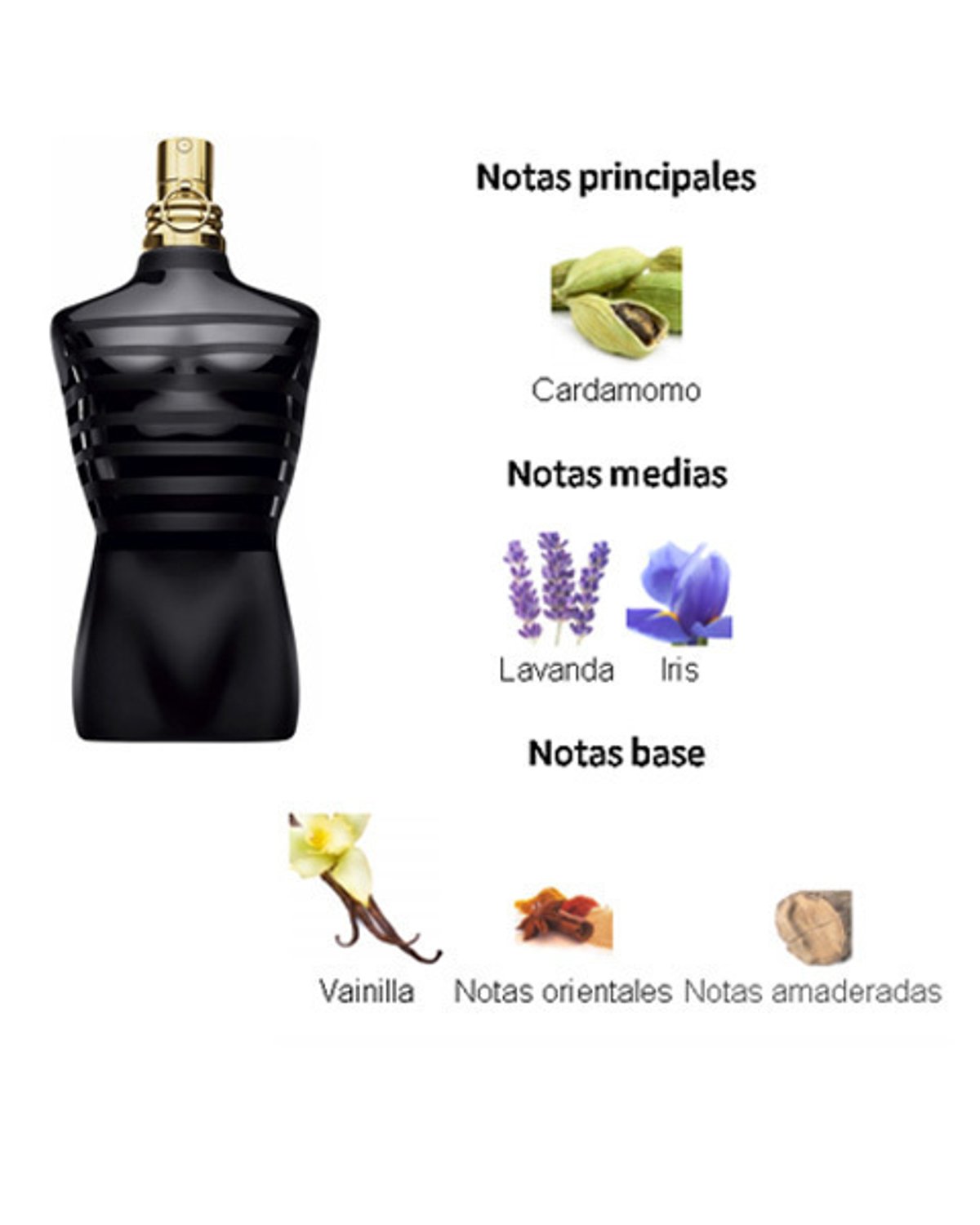 JPG Le Male Le Parfum