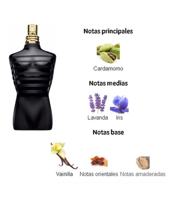 JPG Le Male Le Parfum