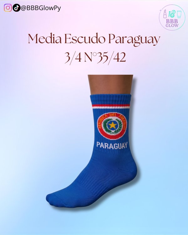 Media Escudo Paraguay 3/4 N°35/42