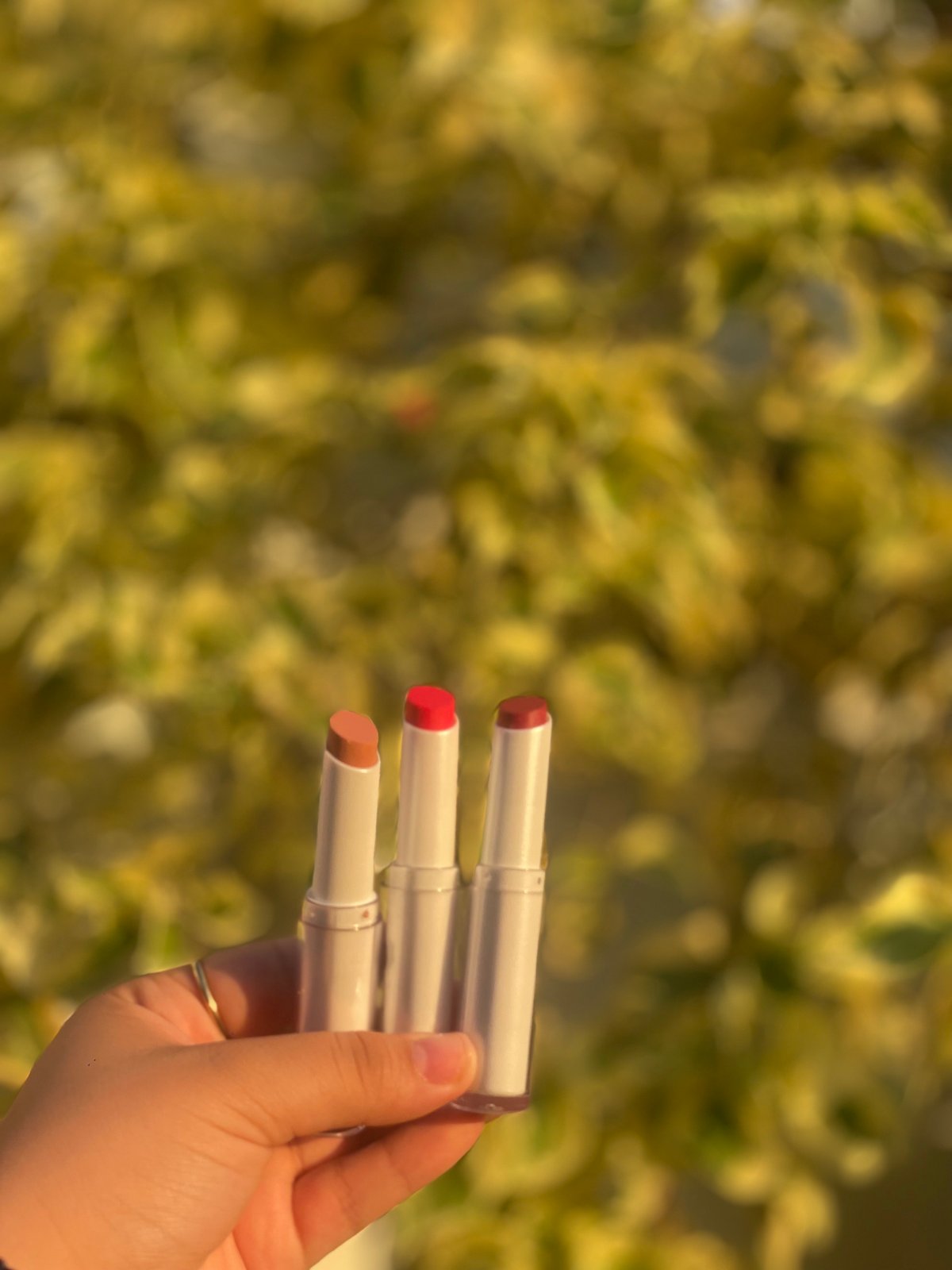 Labiales matte 💋💄 - 3