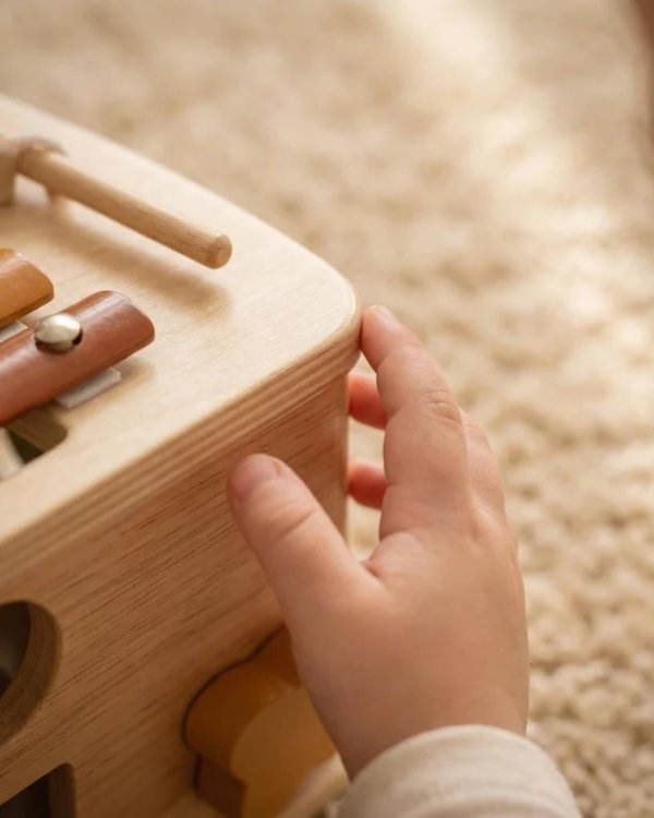 Hongo Multifunción Educativo