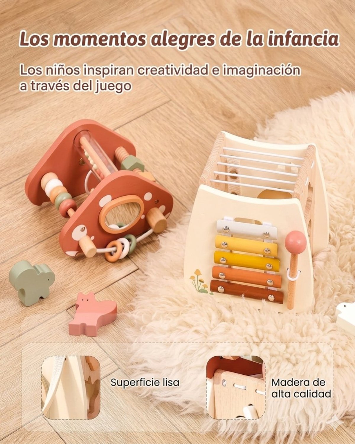 Hongo Multifunción Educativo - 4