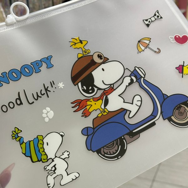 Folder Snoopy