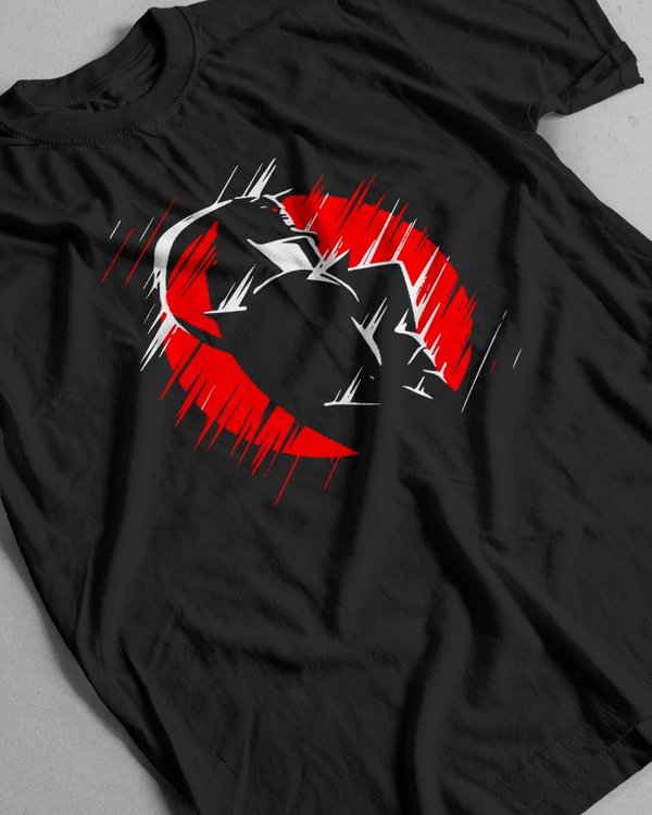 Remera Alphonse - Fullmetal Alchemist