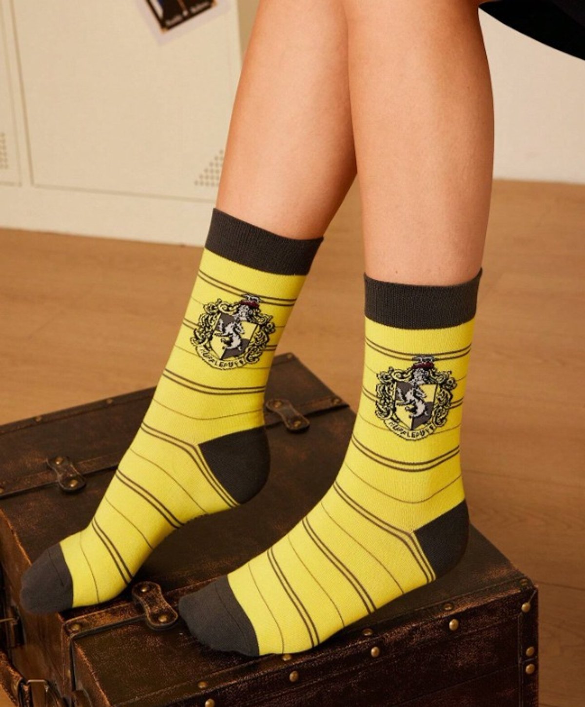 Medias  Harry Potter - Casas - 3