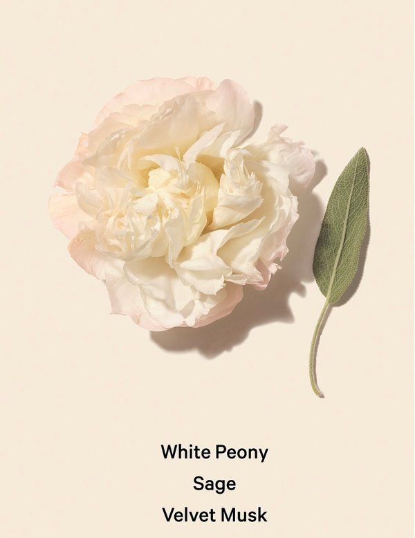 Bombshell Seductión 75 ml