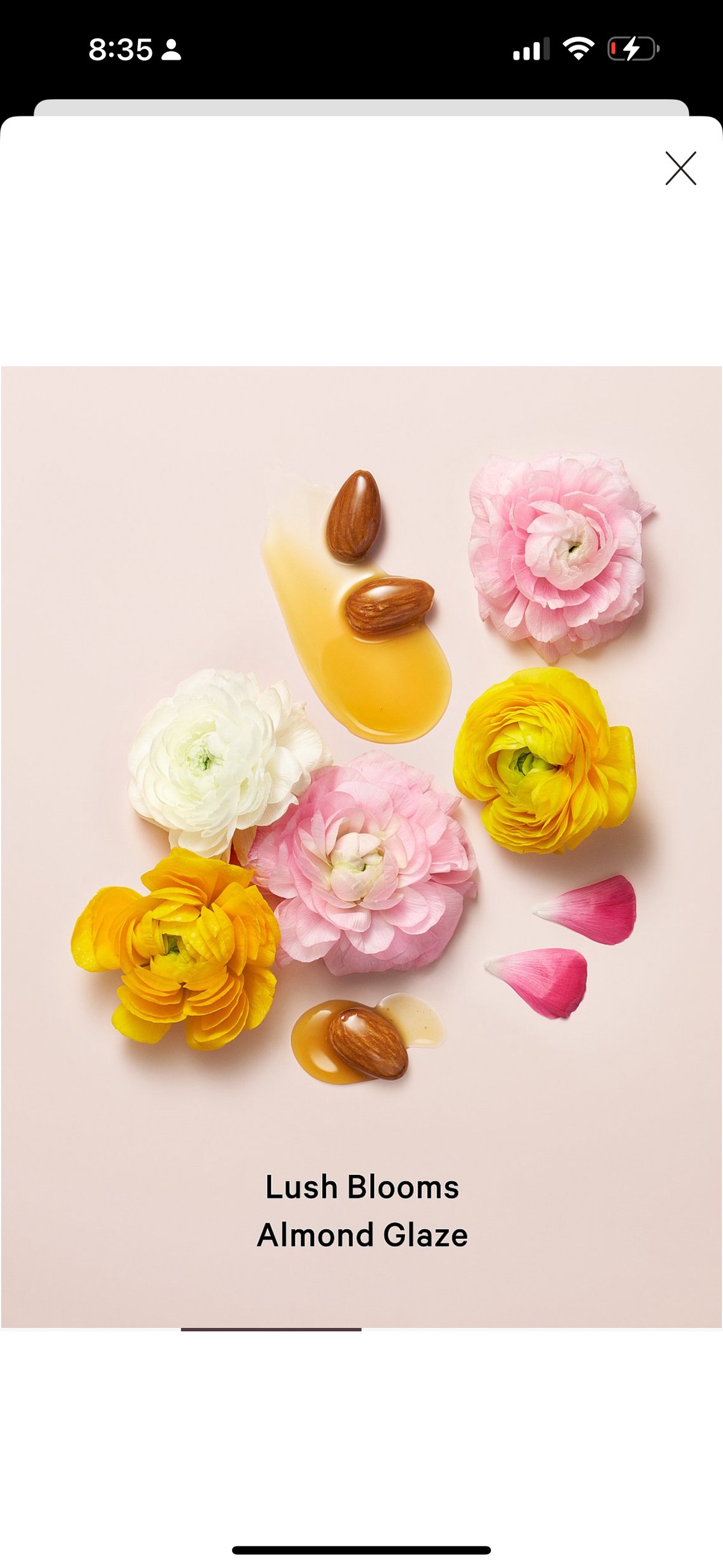 Loción Velvet Petals shimmer - 2