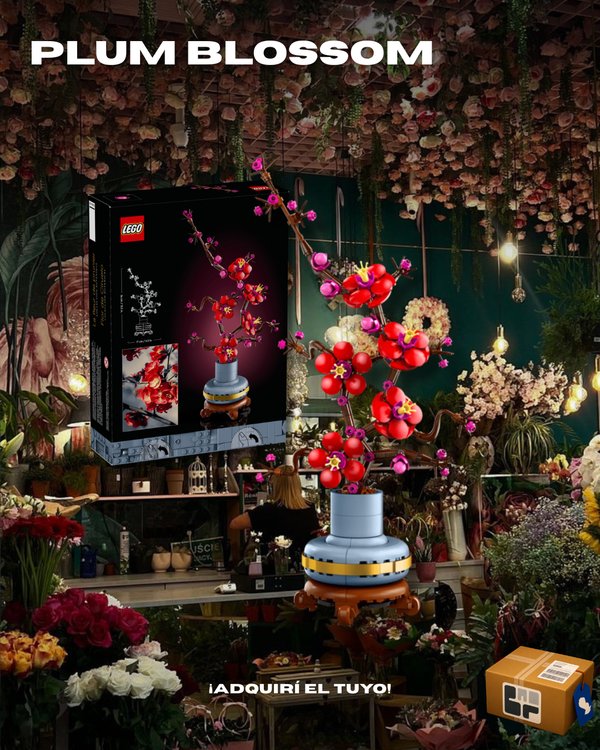 Plum Blossom