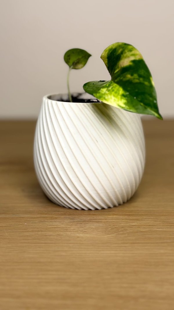 Maceta Decorativa Minimalista – Diseño Moderno 