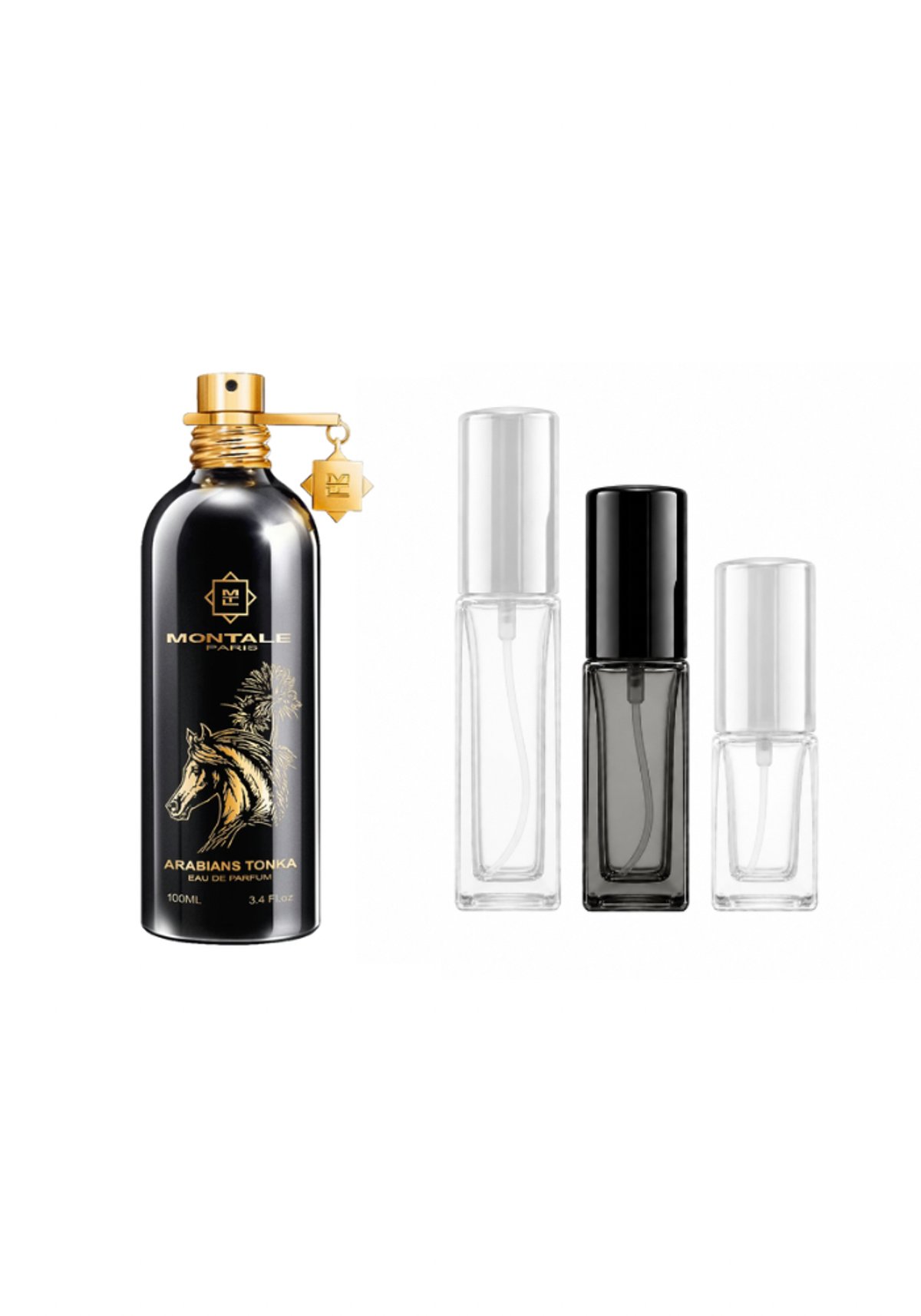Montale Arabians Tonka - 3
