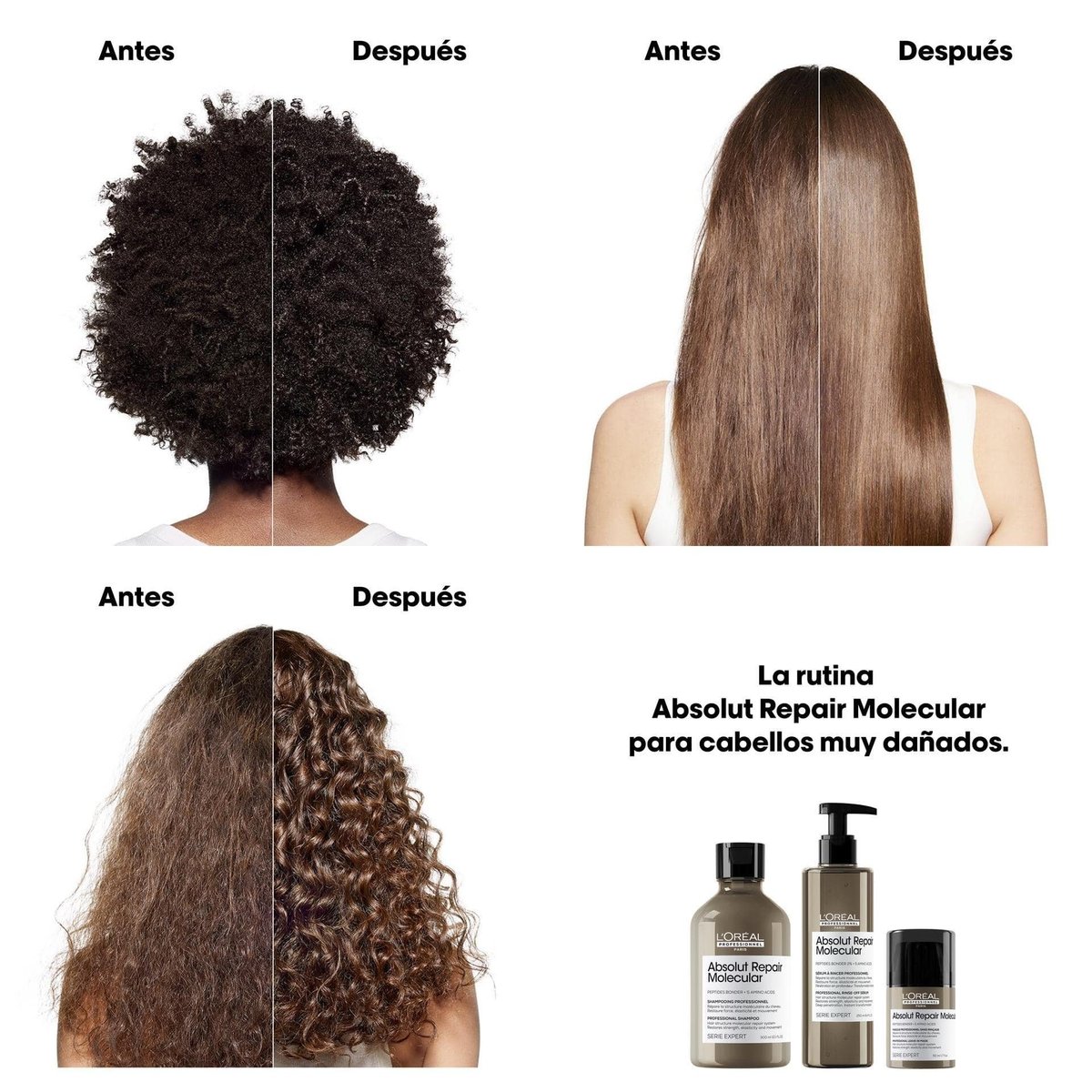 L’Oréal Absolut Repair Molecular Champú