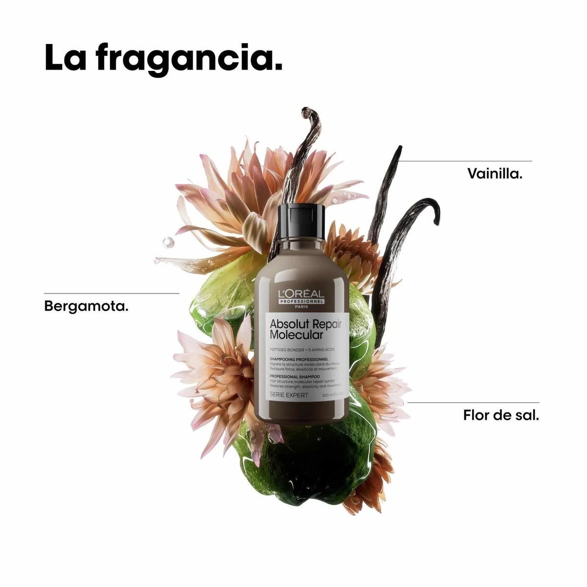L’Oréal Absolut Repair Molecular Champú