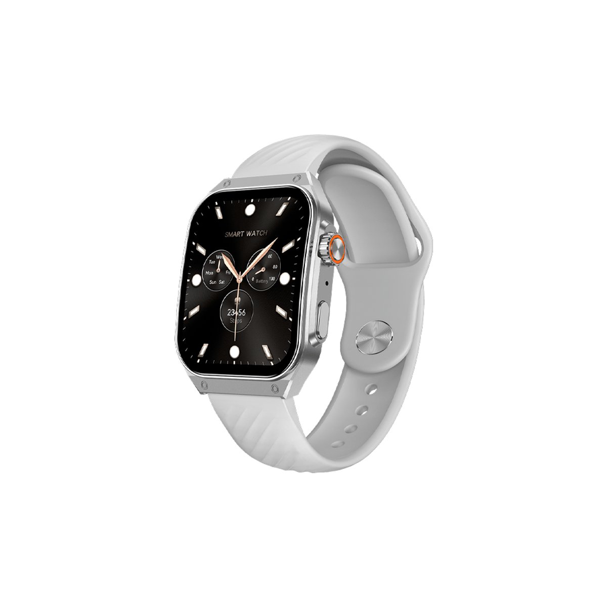 Smartwatch FTXAM15-SVW 51mm AMOLED Plata IP67.