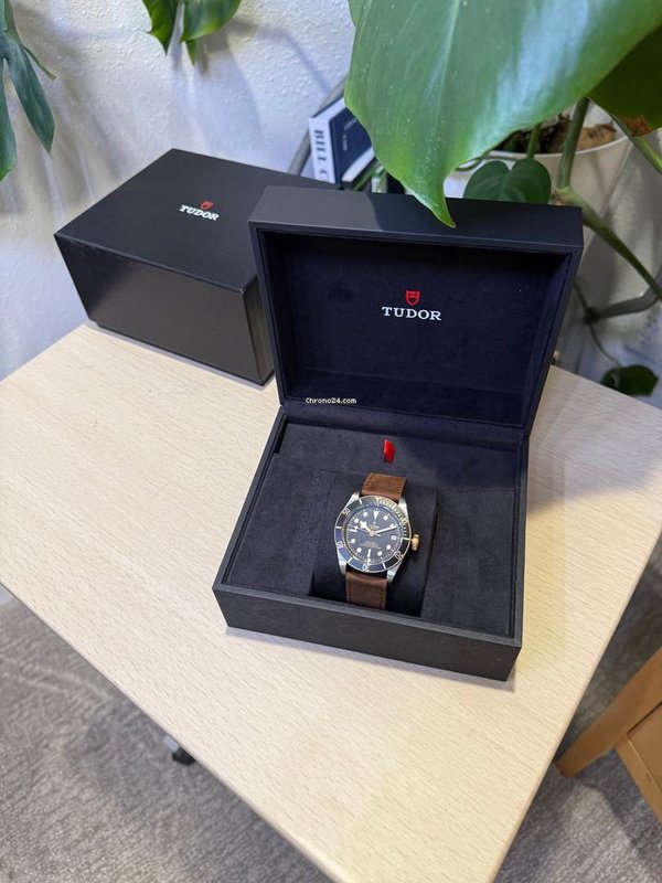 Tudor Black bay 
