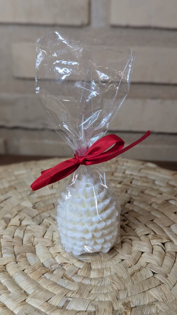 REGALO 25