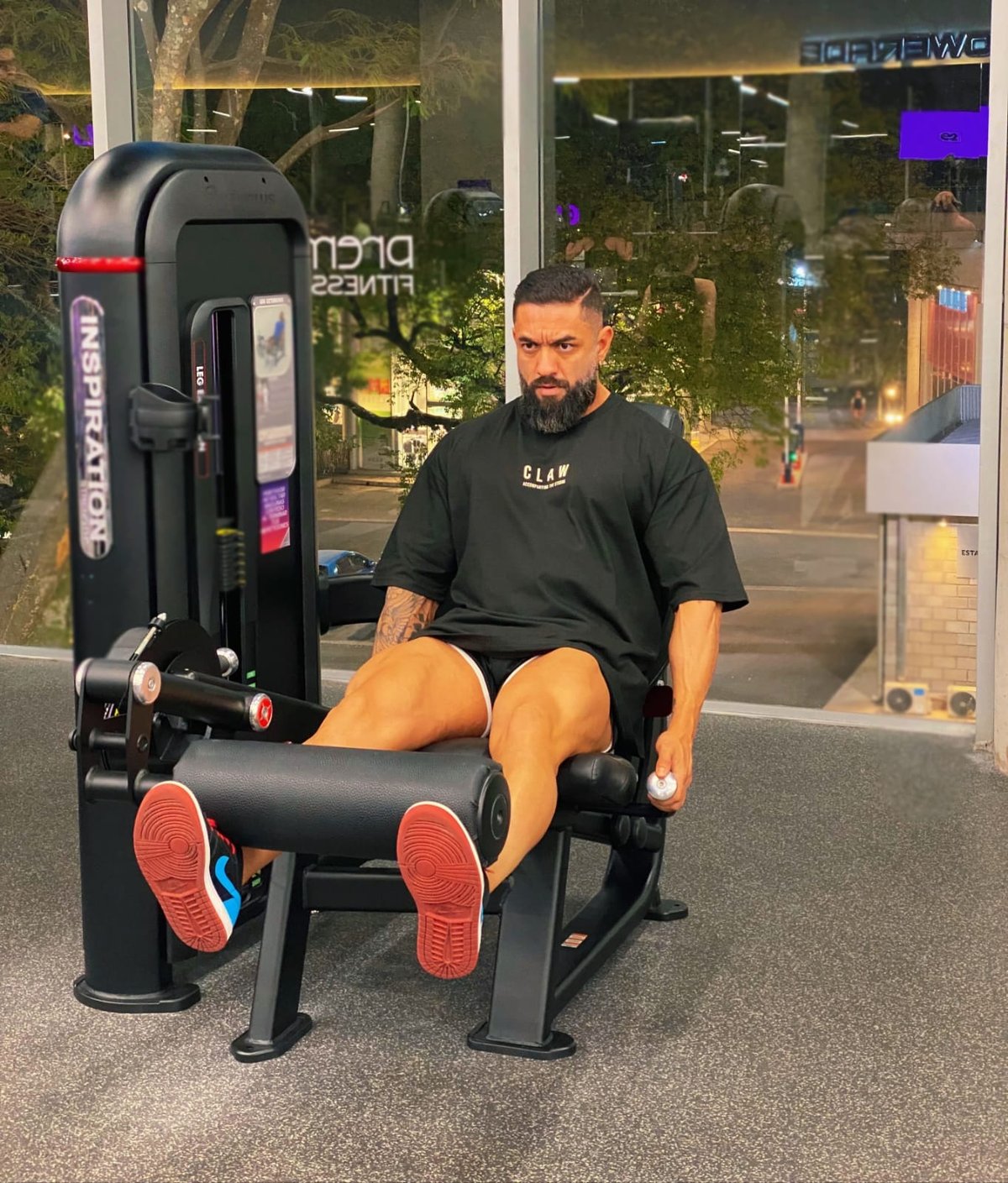 OVERSIZE  " BEAR EDITION " - 2