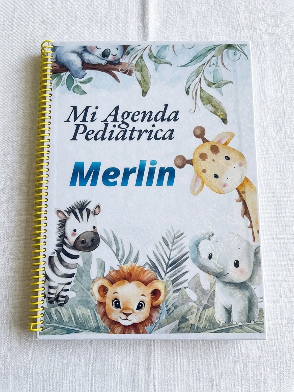 Agendas Pediatricas - 2